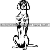 American English Coonhound Breed Dog Portrait Doggy Cute Face Pup Animal Pedigree  Begging Clipart SVG