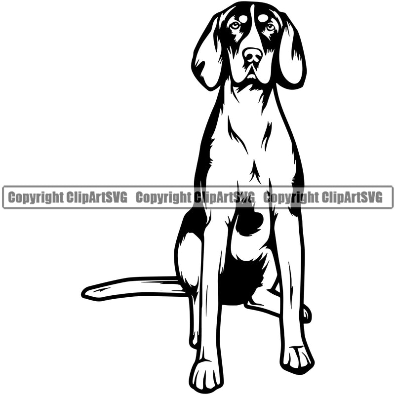 Sitting American English Dog Animal Portrait Doggy Face Cute Pup Pedigree Breed Canine K-9 K9 Portrait Clipart SVG