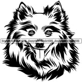 American Eskimo Animal Dog Head Portrait Doggy Cute Face Pup Pedigree Breed Canine K-9 K9 Clipart SVG