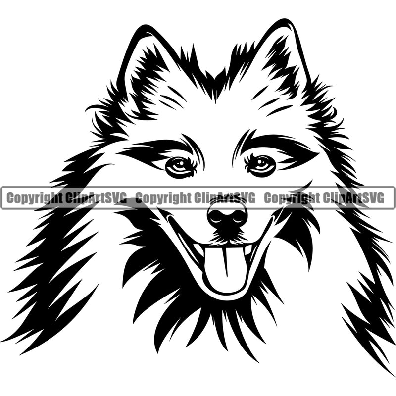 Head By American Eskimo Dog With Cute Face Portrait Doggy Face Cute Pup Pedigree Breed Animal Clipart SVG