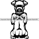 American Stafford Dog Begging Portrait Doggy Cute Face Pup Pedigree Breed Animal Portrait Doggy Face Cute K9 Clipart SVG