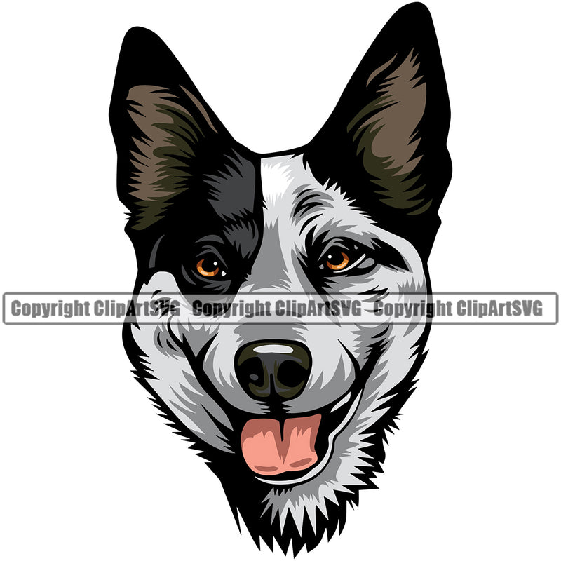 Australian Cattle Color Dog Head Portrait Doggy Cute Face Animal Pup Pedigree Breed Clipart SVG