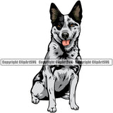 Australian Cattle Sitting Color Dog Portrait Doggy Cute Face Animal Pup Pedigree Breed Canine K-9 K9 Clipart SVG
