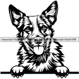 Australian Cattle Cute Face Dog Portrait Doggy Design Pup Pedigree Breed Animal Canine K-9 K9 Peeking Clipart SVG