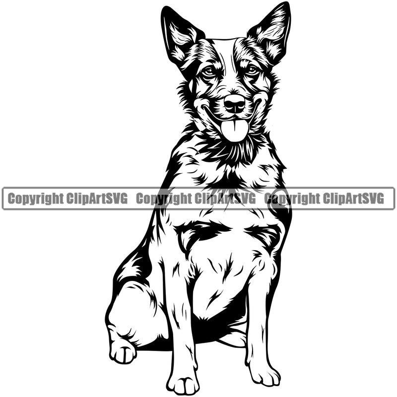 Australian Cattle Dog Peeking Canine K-9 K9 Animal Portrait Doggy Cute Face Pup Pedigree Breed Dog Vector Clipart SVG
