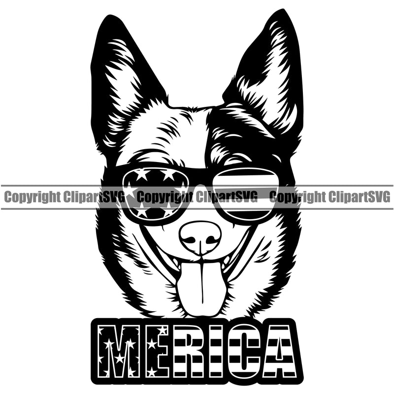 Wearing Sunglasses Australian Cattle Dog Breed Cute Face Pup Pedigree Doggy k9 Clipart SVG