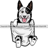 Australian Cattle Dog Hanging From Shirt Pocket Doggy Face Cute Pup Pedigree Breed k9 Clipart SVG