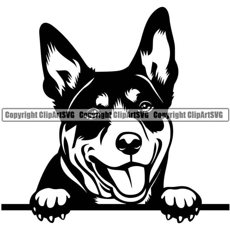 Australian Kelpie Dog Peeking Face And Head k9 Dog Animal Portrait Doggy Clipart SVG