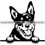 Australian Kelpie Head Dog Animal Doggy Cute Face Pup Pedigree Breed Clipart SVG