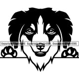 Australian Shepherd Dog Doggy Peeking Face Dog Animal Cute Puppy k9 Doggy Clipart SVG