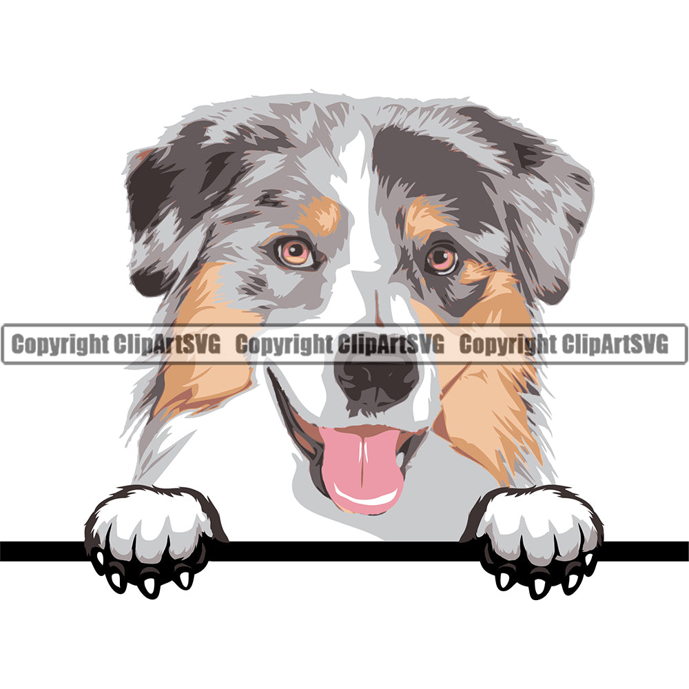 Australian Shepherd Color Head Peeking Animal Dog Cute Pup Pedigree Breed Clipart SVG