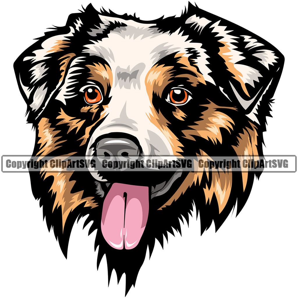 Australian Shepherd Color Head Doggy Pedigree Breed Dog Animal Portrait Clipart SVG