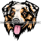 Australian Shepherd Color Head Doggy Pedigree Breed Dog Animal Portrait Clipart SVG