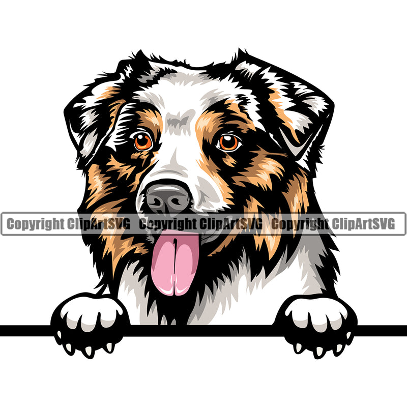 Animal Australian Shepherd Dog Peeking Color Face Cute Pup Pedigree Breed Clipart SVG
