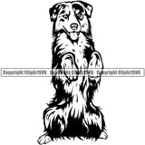 Australian Shepherd Begging Portrait Doggy Face Cute Pup Pedigree Breed Clipart SVG