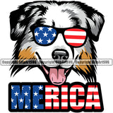 Australian Shepherd Wearing Sunglasses Merica Color Text Portrait Doggy Face Cute Pup Pedigree Breed Clipart SVG