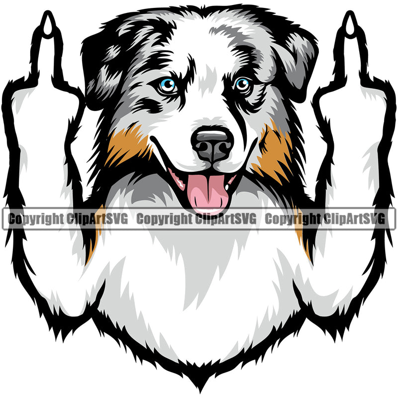Australian Shepherd Color Middle Finger Sign Animal Dog Portrait Face Cute Pup Pedigree Breed Clipart SVG
