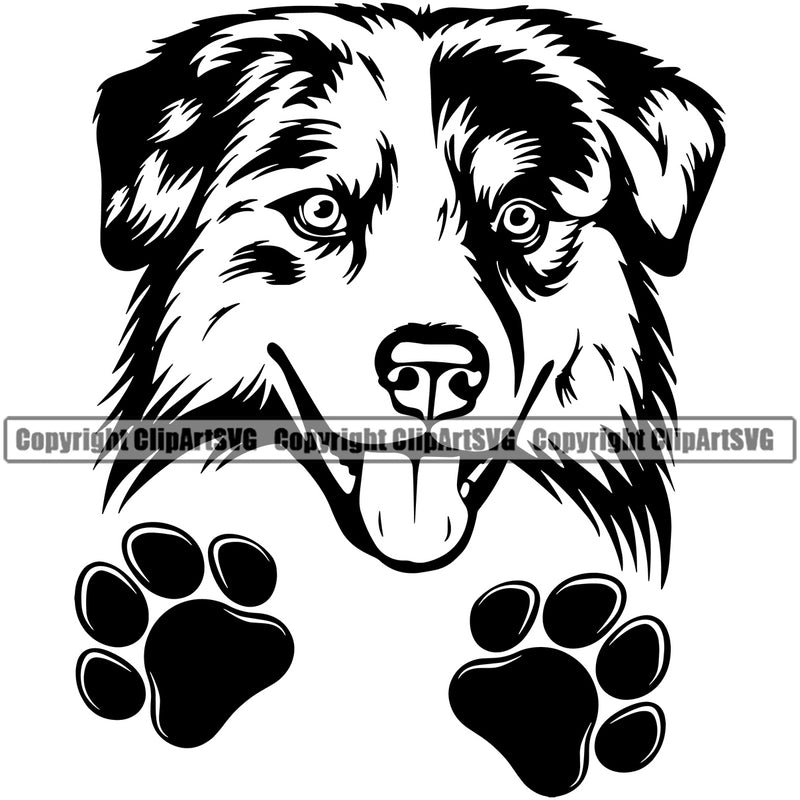 Australian Shepherd Peeking Color Animal Portrait Doggy Face Cute Portrait Doggy Logo Vector Clipart SVG