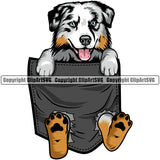 Australian Shepherd Dog Hanging From Shirt Pocket Portrait Doggy Face Cute Pup Pedigree Breed Clipart SVG