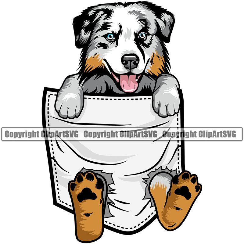 Australian Shepherd Dog Hanging From Shirt Pocket Animal Dog Puppy Portrait Doggy Face Cute Pup Pedigree Breed Clipart SVG
