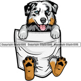 Australian Shepherd Dog Hanging From Shirt Pocket Animal Dog Puppy Portrait Doggy Face Cute Pup Pedigree Breed Clipart SVG