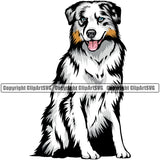 Australian Shepherd Dog Sitting Doggy Face Cute Pup Pedigree Breed Animal Design Clipart SVG