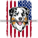 Australian Shepherd Dog Under USA Flag Face Animal Dog Pup Pedigree Breed Canine K-9 Clipart SVG