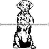 Australian Shepherd Dog Begging Doggy Face Cute Pup Pedigree Breed Animal Clipart SVG