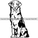 Australian Shepherd Dog Sitting Portrait Doggy Face Cute Pup Pedigree Breed Animal Clipart SVG