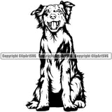 Australian Shepherd Dog Sitting Portrait Doggy Face Cute Pup Pedigree Breed Head Animal Clipart SVG