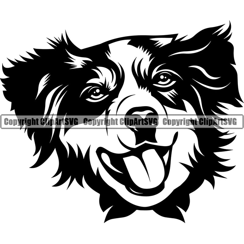Australian Shepherd Dog Head Animal Portrait Doggy Cute Face Doggy Puppy Pup Clipart SVG