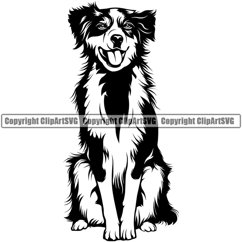 Australian Shepherd Dog Sitting Animal Portrait Doggy Face Cute Head Clipart SVG