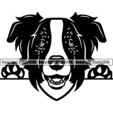 Australian Shepherd Dog Peeking Portrait Doggy Face Cute Pup Pedigree Breed Design Clipart SVG