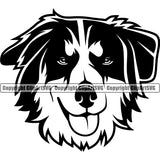 Australian Shepherd Dog Animal Portrait Puppy Cute Doggy Face Cute Pup Breed Clipart SVG