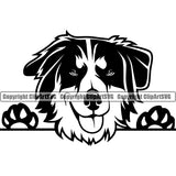 Australian Shepherd Dog Breed Clipart Peeking Dog Animal Portrait Doggy Face k9 SVG