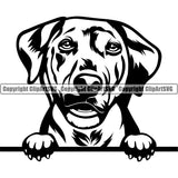 Australian Shepherd Dog Peeking Animal Portrait Doggy Face Cute Pup Puppy Logo Clipart SVG