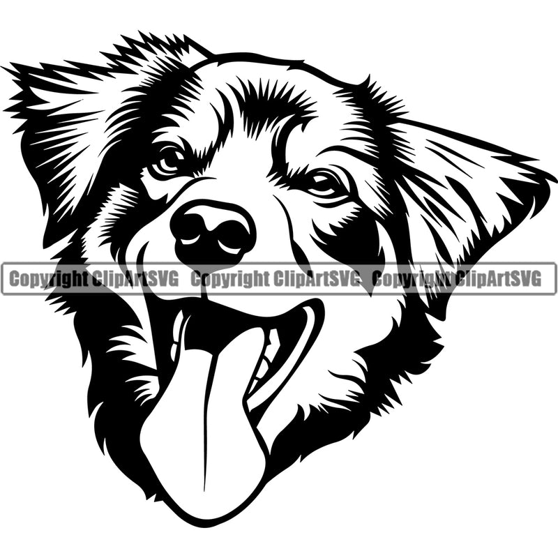 Australian Shepherd Dog Head Animal Portrait Doggy Face Cute Pup Breed Clipart SVG