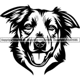 Australian Shepherd Breed Dog Head Doggy Face Cute Pup Pedigree Puppy Design Clipart SVG