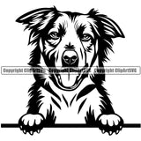 Australian Shepherd Dog Peeking Animal Portrait Doggy Face Cute Breed k9 Clipart SVG