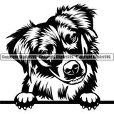 Australian Shepherd Peeking Dog Portrait Doggy Face Cute Pup Pedigree Breed Clipart SVG