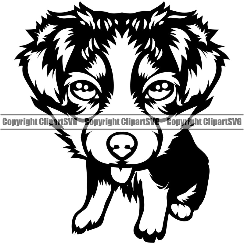 Australian Shepherd Dog Body Animal Portrait Doggy Face Cute Pup Pedigree Breed k9 Clipart SVG