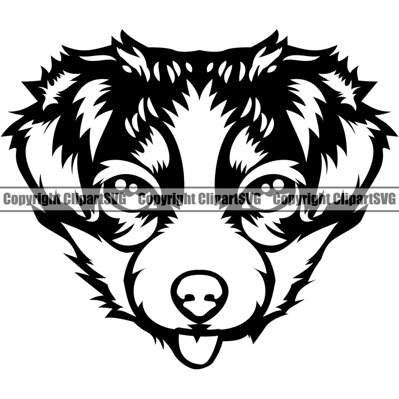 Australian Shepherd Breed Dog Head Doggy Face Cute Pup Pedigree Animal Clipart SVG
