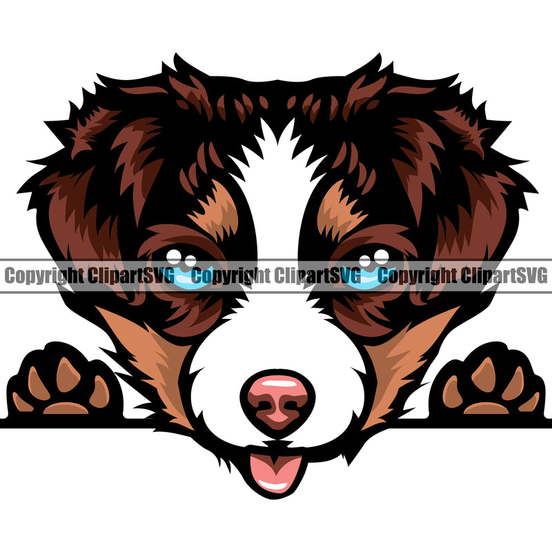Australian Shepherd Cute Dog Color Peeking Animal Dog Portrait Doggy Face Pup Pedigree Breed Clipart SVG