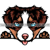 Australian Shepherd Cute Dog Color Peeking Animal Dog Portrait Doggy Face Pup Pedigree Breed Clipart SVG