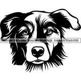 Australian Shepherd Breed Dog Head Face Cute Pup Pedigree Puppy Doggy Animal Clipart SVG