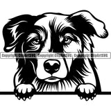 Australian Shepherd Peeking Dog Animal Animal Portrait Doggy Face Canine K-9 K9 Clipart SVG