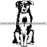 Australian Shepherd Sitting Dog Animal Doggy Face Cute Pup Pedigree Breed Clipart SVG