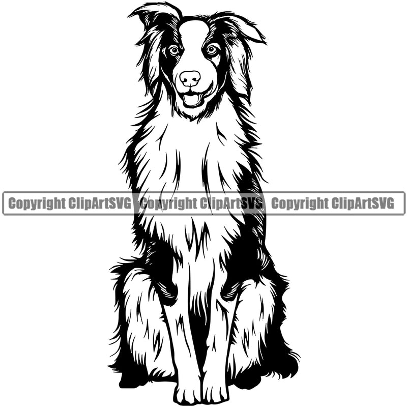 Sitting Australian Shepherd Dog Animal Portrait Doggy Puppy Face Cute Pup Design Vector Clipart SVG