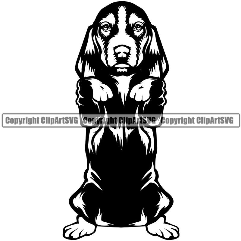 Begging Basset Hound Portrait Doggy Face Cute Pup Pedigree Breed Animal Clipart SVG