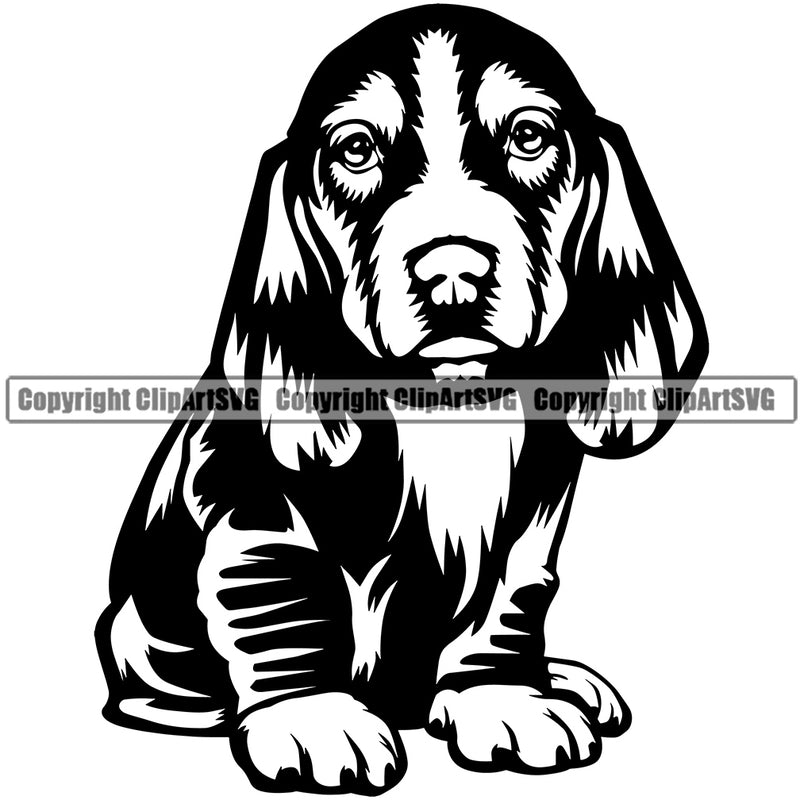 Basset Hound Dog Sitting Portrait Doggy Face Cute Pup Pedigree Breed Portrait Clipart SVG